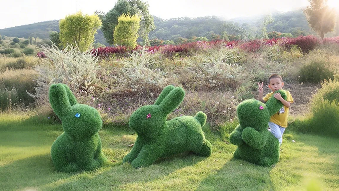 植草兔子