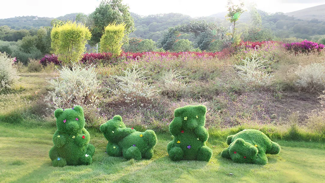 植草熊猫