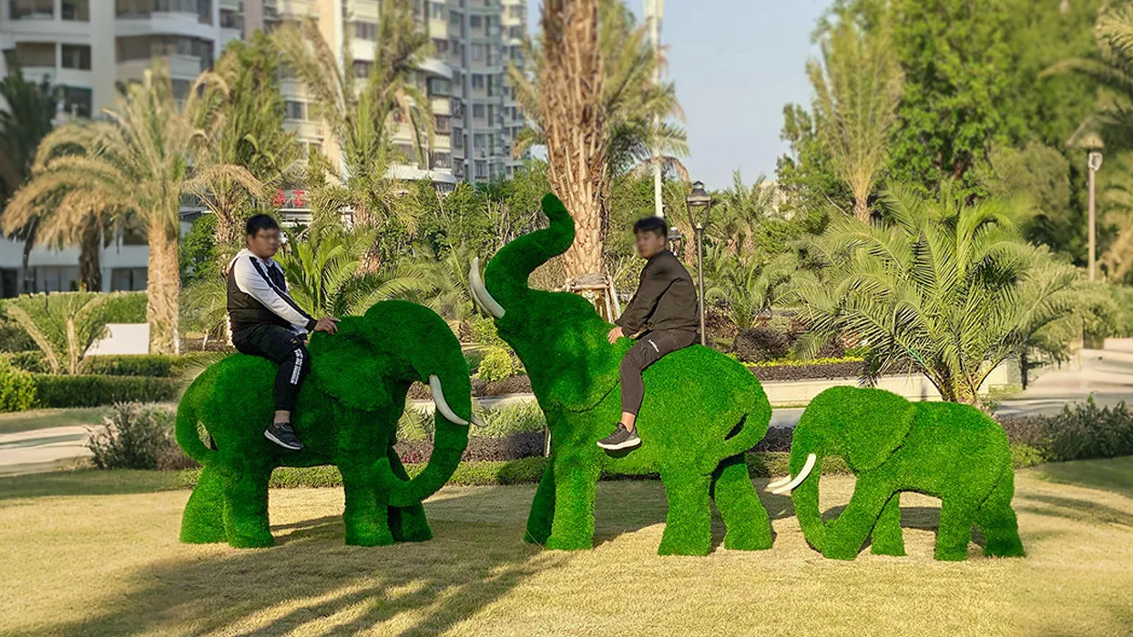 植草大象