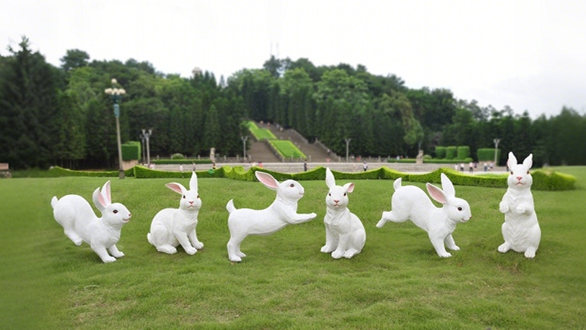 兔子